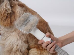 Tooth Brushing and De-Shredding